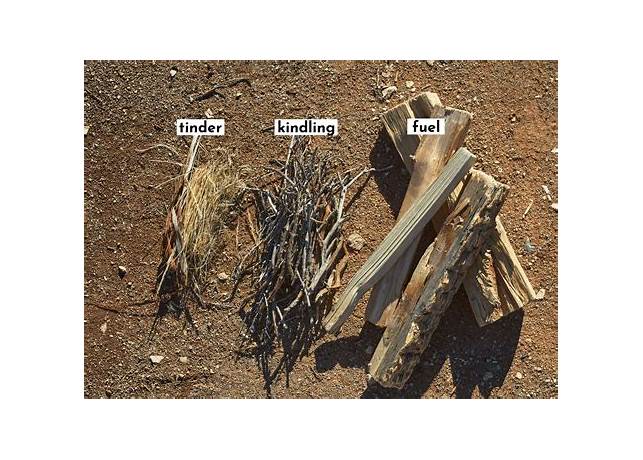 Can you have a tinder at 17