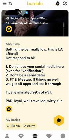 bumble bio ideas for guys reddit