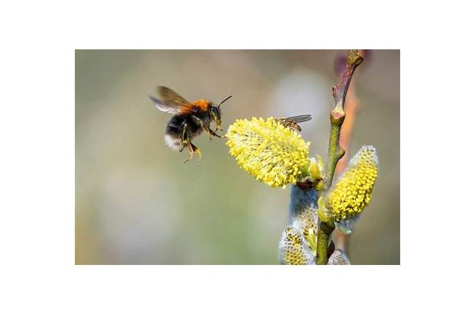 bumble tips and tricks reddit