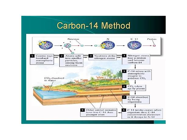 carbon 14 method in history