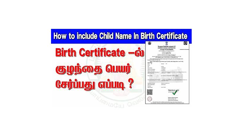 Birth certificate correction online tamilnadu pdf