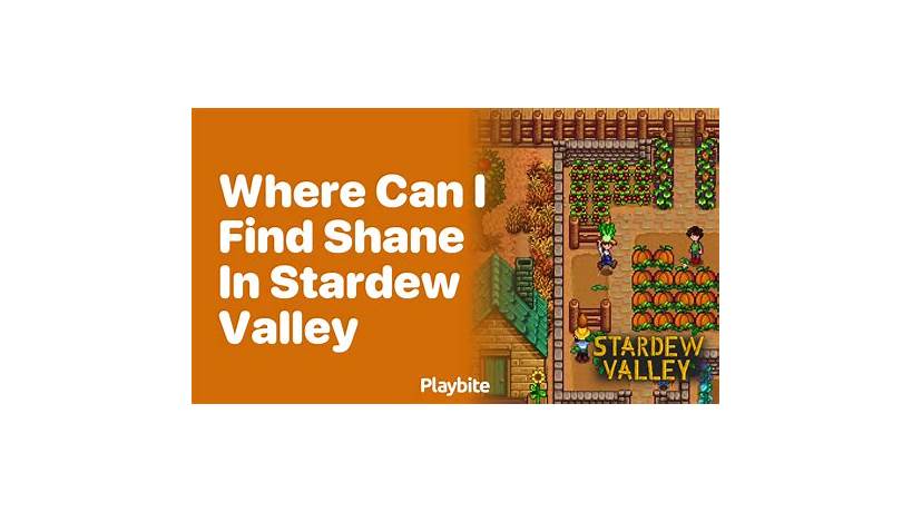 Can you marry shane in stardew valley