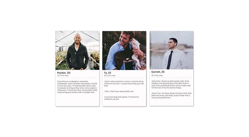 Best tinder description for guys