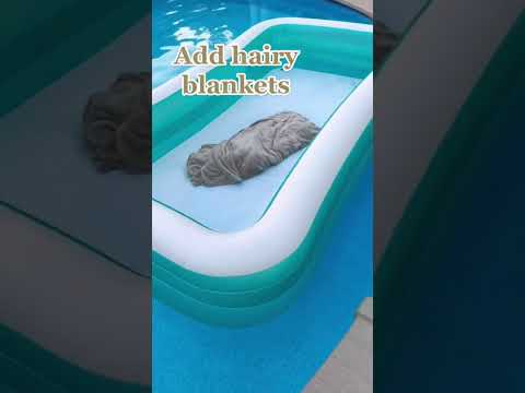 Cheap date ideas near me open now