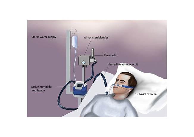 Can tinder be used for free